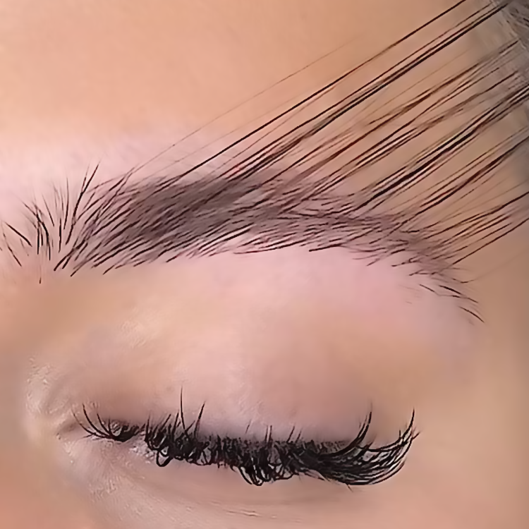 TRAINING HYPER REALISTIC EYEBROW EXTENSIONS