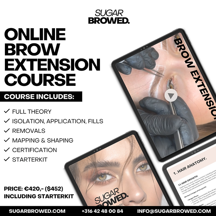 ONLINE COURSE HYPER REALISTIC EYEBROW EXTENSIONS