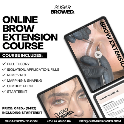 ONLINE CURSUS HYPER REALISTIC EYEBROW EXTENSIONS